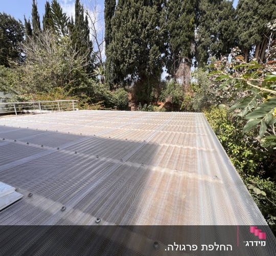 גג פלסטיק שקוף עם עצים ברקע